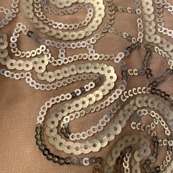 NWT Express sequined dusty rose colored top - Picture 3 of 4